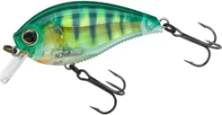 Yo-Zuri 3DB Crank 1.5 Shallow Squarebill Crankbait -Fishing Equipment R1352 RPC c59b1c58 d360 4ded 8de1 7099a49cbd09