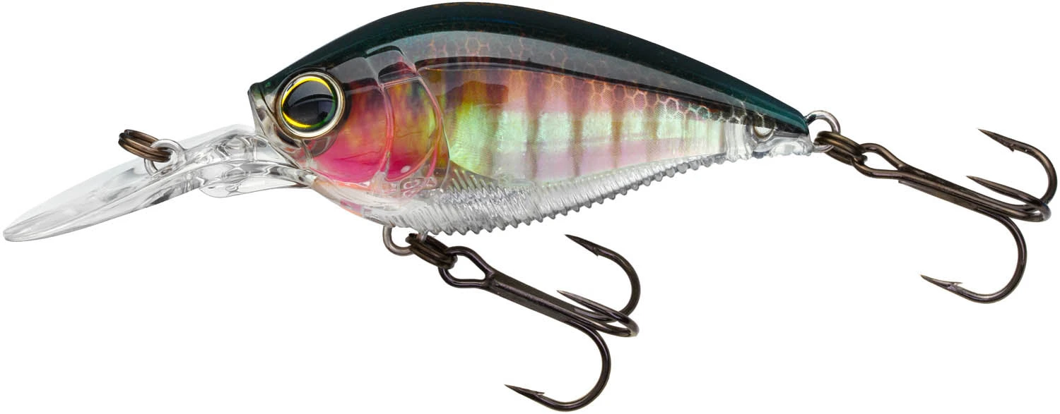 Yo-Zuri 3DB Crank 1.5 MR Medium Diving Crankbait 14 Yo-Zuri 3DB Crank 1.5 MR Medium Diving Crankbait - Image 14