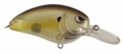 SPRO John Crews Little John MD 50 Crankbait -Fishing Equipment SLJM50CCH ClearChartreuse