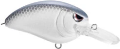 SPRO John Crews Little John MD 50 Crankbait -Fishing Equipment SLJM50LVS LavenderShad bc92fc99 ed28 4f91 97b0 63dd1c026014