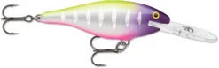 Rapala Shad Rap 1 1/2 Inch Medium Diving Crankbait SR04 -Fishing Equipment SR04MFT 068c5efb 4f35 4c3c 8485 ef6c48f93c9d