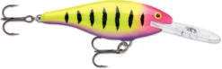 Rapala Shad Rap 2 1/2 Inch Medium Diving Crankbait SR06 -Fishing Equipment SR06HSP 261199b0 2f53 4cbd 974b e01196f8cc9b