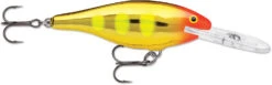 Rapala Shad Rap 2 1/2 Inch Medium Diving Crankbait SR06 -Fishing Equipment SR06JLC 737dd411 ad1a 467b a886 ba70c239a658