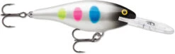 Rapala Shad Rap 3 1/2 Inch Deep Diving Crankbait SR09 -Fishing Equipment SR09BWB d842d825 2b3f 447b a4cb 34c49c84d7b6