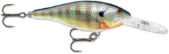 Rapala Shad Rap 2 1/2 Inch Medium Diving Crankbait SR06 -Fishing Equipment SR BG 9b8dd613 404b 4488 960c 7161922af8f3