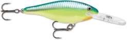 Rapala Shad Rap 2 1/2 Inch Medium Diving Crankbait SR06 -Fishing Equipment SR CRSD 5dc38d74 0337 458b a5e7 90205084b568