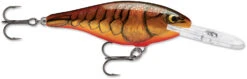 Rapala Shad Rap 2 1/2 Inch Medium Diving Crankbait SR06 -Fishing Equipment SR DCW a801c882 506b 432c 87a9 3b900c81cb41