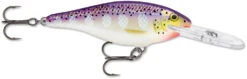 Rapala Shad Rap 2 1/2 Inch Medium Diving Crankbait SR06 -Fishing Equipment SR PD 4ee7f6e2 bed7 4973 98cb 01c7522b2916