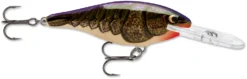 Rapala Shad Rap 1 1/2 Inch Medium Diving Crankbait SR04 -Fishing Equipment SR POCW a20c5c5b a2e0 44ee a81e 8a294646107c