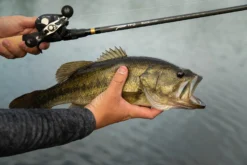 Temple Fork Outfitters Tactical Bass Glass Casting Rods -Fishing Equipment Tactical Bass Bottom Banner Lifestlye 1 f6a75b7c 7ed5 4159 863b 849c406dbdfc