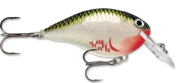 Rapala DT Series Crankbait DT4 -Fishing Equipment bleeding olive shiner b6263b92 6a43 45af 9691 3e5bd20a5503