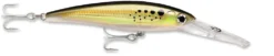 Rapala X-Rap Magnum 30 Big Game Slash Bait 24 Rapala X-Rap Magnum 30 Big Game Slash Bait -Fishing Equipment bunker e98f4d72 699f 4d80 8997 f69d015a741f