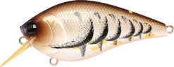 Lucky Craft LC 2.5 Shallow Squarebill Crankbait 34 Lucky Craft LC 2.5 Shallow Squarebill Crankbait -Fishing Equipment cameleon brown craw