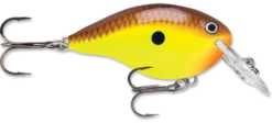 Rapala DT Series Crankbait DT4 -Fishing Equipment chartreuse brown 74f30f15 7fc4 408a a73f 846212ded236