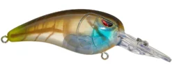SPRO Mike McClelland RkCrawler 50 Medium Diving Crankbait -Fishing Equipment clear gill