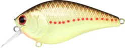 Lucky Craft LC 2.5 Shallow Squarebill Crankbait 25 Lucky Craft LC 2.5 Shallow Squarebill Crankbait -Fishing Equipment copper 2Bperch