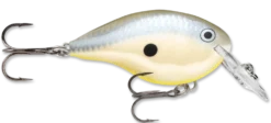 Rapala DT Series Crankbait DT4 -Fishing Equipment disco shad 48ff9892 84e7 4f3b 8c8c 61b5dda2adf1