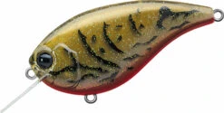 Evergreen International Flat Force 4 Flat-Sided Shallow Diving Crankbait 28 Evergreen International Flat Force 4 Flat-Sided Shallow Diving Crankbait -Fishing Equipment ever green ff 216 live crawdad