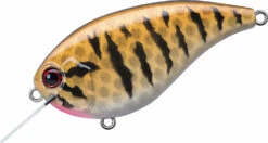 Evergreen International Flat Force 4 Flat-Sided Shallow Diving Crankbait 33 Evergreen International Flat Force 4 Flat-Sided Shallow Diving Crankbait -Fishing Equipment ever green ff 392 smallmouth bass