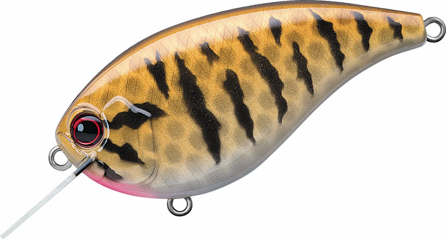Evergreen International Flat Force 4 Flat-Sided Shallow Diving Crankbait 17 Evergreen International Flat Force 4 Flat-Sided Shallow Diving Crankbait - Image 17