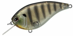 Evergreen International Flat Force 4 Flat-Sided Shallow Diving Crankbait 19 Evergreen International Flat Force 4 Flat-Sided Shallow Diving Crankbait -Fishing Equipment evergreen ff4 246 crankbait baby ghost gill