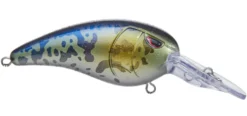 SPRO Mike McClelland RkCrawler 50 Medium Diving Crankbait -Fishing Equipment goby