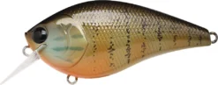 Lucky Craft LC 2.5 Shallow Squarebill Crankbait 37 Lucky Craft LC 2.5 Shallow Squarebill Crankbait -Fishing Equipment gold pumpkin seed
