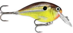 Rapala DT Series Crankbait DT4 -Fishing Equipment hot mustard 2fba7517 cf40 40e0 b101 cdae8a8ef9bc