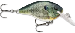 Rapala DT Series Crankbait DT4 -Fishing Equipment live bluegill 081b953a 2495 4e91 8399 d3acc222bfc4