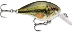 Rapala DT Series Crankbait DT4 -Fishing Equipment live largemouth bass 2f259570 db69 465c b5d8 9a0aa813ca36