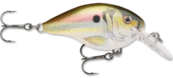 Rapala DT Series Crankbait DT4 -Fishing Equipment live river shad 99811d93 def6 46c2 847f 2cc70509e248