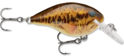 Rapala DT Series Crankbait DT4 -Fishing Equipment live smallmouth bass e408e51d bf23 4c82 83cd 7f8d7407e433