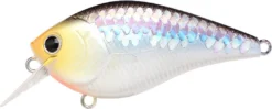 Lucky Craft LC 2.5 Shallow Squarebill Crankbait 33 Lucky Craft LC 2.5 Shallow Squarebill Crankbait -Fishing Equipment ms 2Bimpulse 2Bshad
