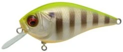 Megabass Knuckle LD Silent Crankbait 2 1/3 Inches -Fishing Equipment pm 2Bhot 2Bgill