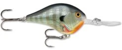 Rapala DT Series Crankbait DT16 -Fishing Equipment rapala dt10 bluegill f174ddf6 bff7 40b2 a370 19e4ee6a3db7