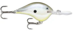 Rapala DT Series Crankbait DT14 -Fishing Equipment rapala dt10 disco shad f51a7126 74c3 492b 9cd5 31ab8f430d8a