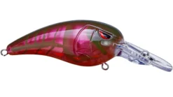 SPRO Mike McClelland RkCrawler 50 Medium Diving Crankbait -Fishing Equipment red river craw