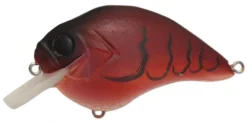 Megabass S Crank 1.5 Shallow Squarebill Crankbait -Fishing Equipment s crank fire craw f1c527c3 6ef0 4413 ad4c 1355e0fea943