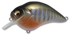 Megabass S Crank 1.5 Shallow Squarebill Crankbait -Fishing Equipment s crank secret gill 07e55e88 ad47 438f ab3f 06e0e1e60711