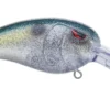 SPRO Mike McClelland RkCrawler 50 Medium Diving Crankbait