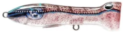 Nomad Design Chug Norris Freshwater/Inshore Popper -Fishing Equipment squid surprise