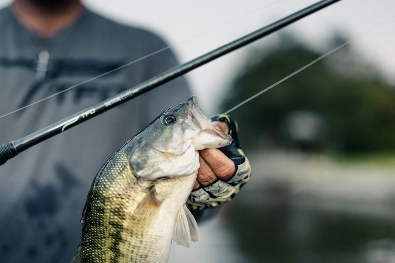 Temple Fork Outfitters Tactical Elite Bass Swimbait Casting Rods 9 Temple Fork Outfitters Tactical Elite Bass Swimbait Casting Rods - Image 9